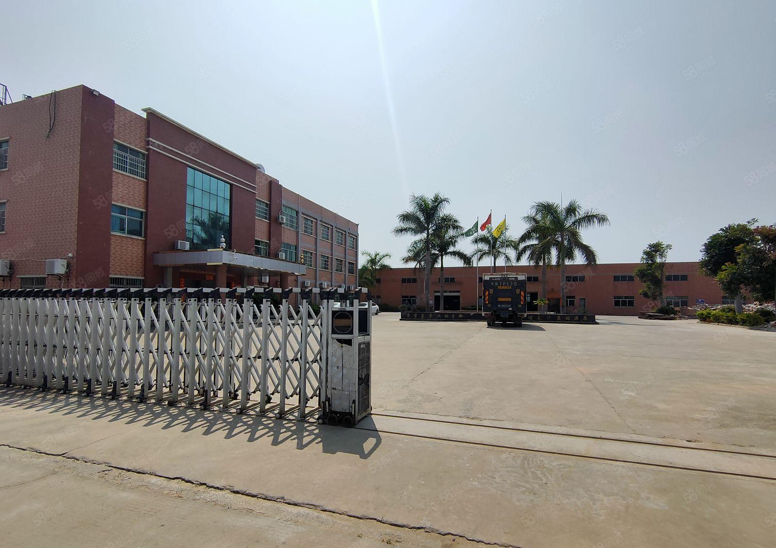 坂田原房东一楼高10米独门独院1万平钢构，超大空地2000平