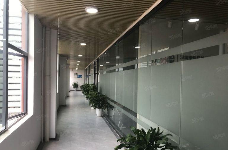 免租 布吉东站50平至1200平创意园电商办公室厂房出租