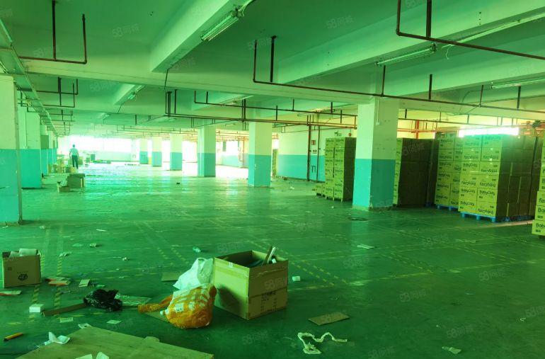 布吉凉帽山地铁站附近新出2楼整层2462平一手业主有红本出租