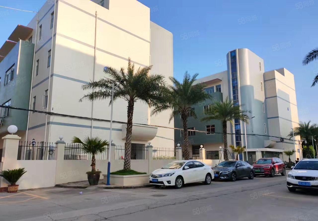 200平起租布吉丹竹地铁站电商园带精装修办公室厂房仓库出租