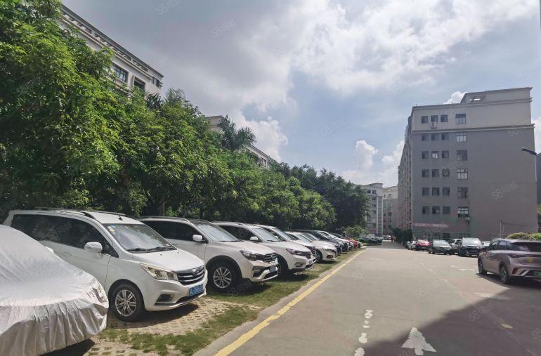 布吉李郎甘坑石芽岭地铁口，秀峰原房东3千平办公厂房电商仓库