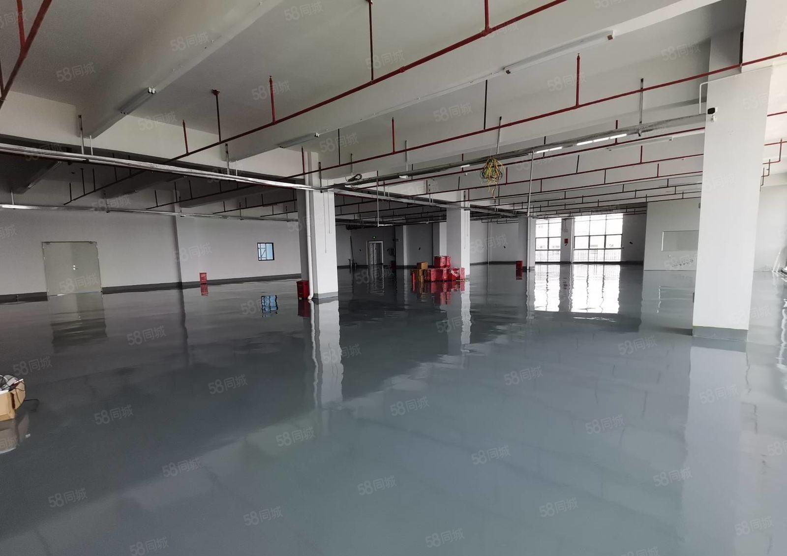 300平起分租布吉李朗原房东工业园一楼二楼1980平厂房出租