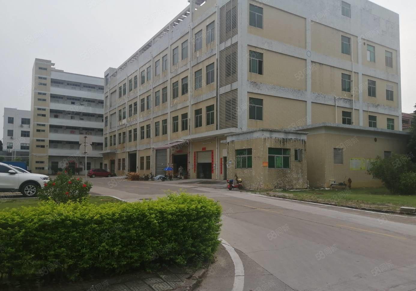 300平起租百鸽笼工业区2万平重工业厂房 带精装修及地坪漆