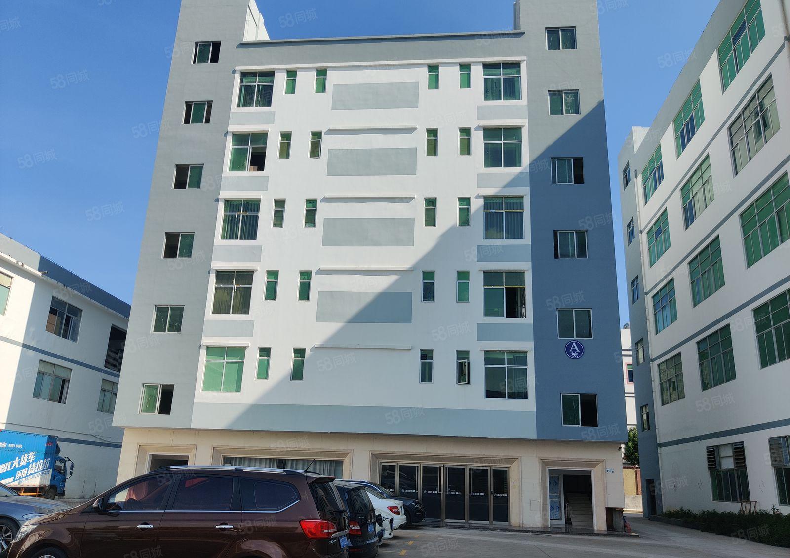 龙岗布吉丹竹头地铁1000平厂房出租300平起租适合电商抖音