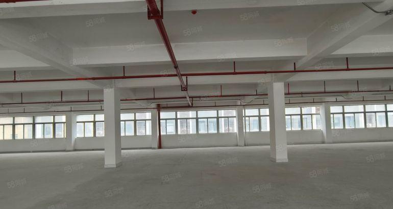 布吉上水经附近300平起厂房出租 园区仓库300平起出租转