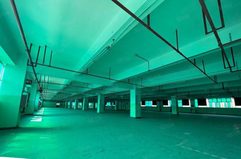 甘坑2楼2000平仓库出租原房东带红本可分组500平起租