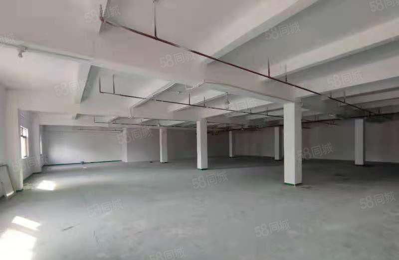 地铁口物业 300平方起租 独门独院 大型工业区