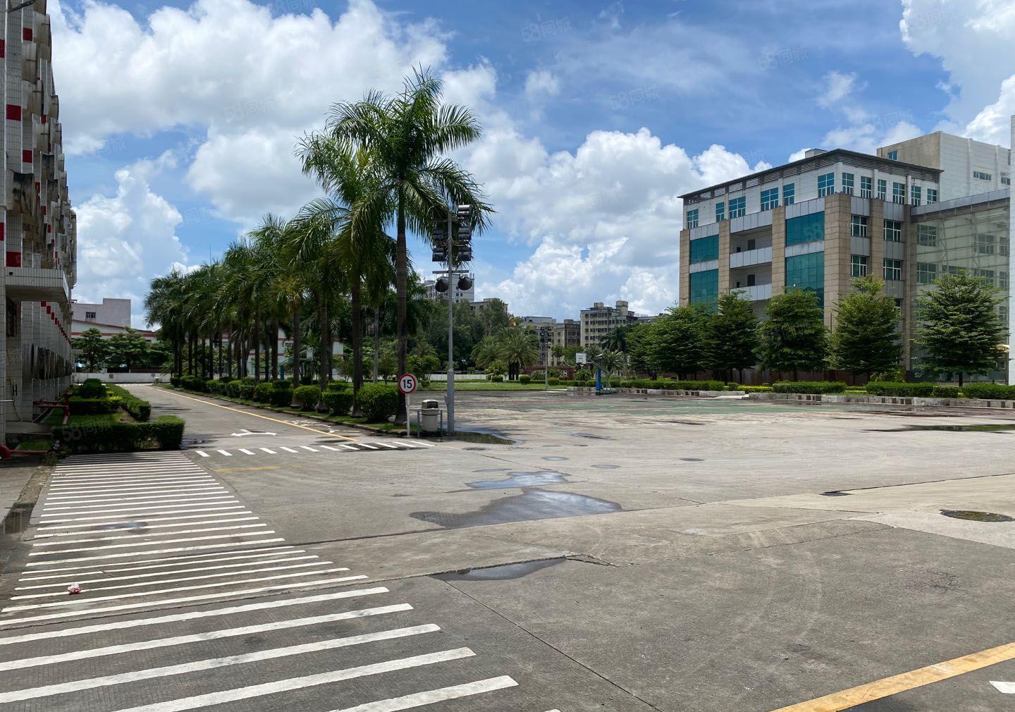 布吉丹竹头1000平电商办公厂房仓库出租可分租空地超大