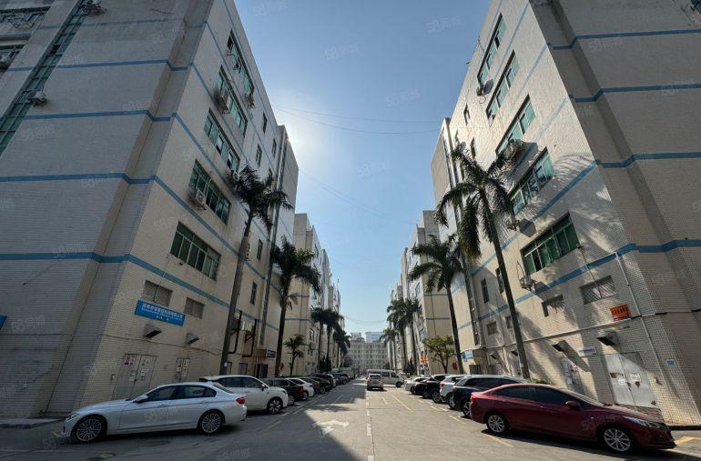 布吉地铁口厂房出租精装办公电商仓库出租200平可分租一楼