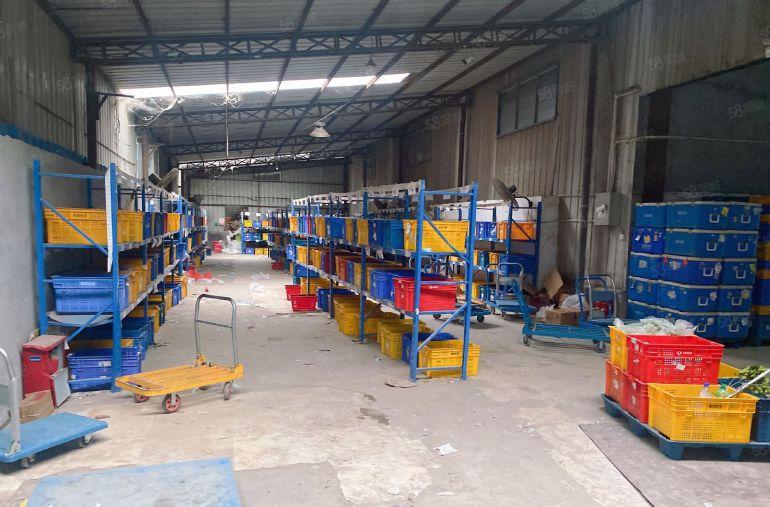 吉华单层厂房超低价310平出租