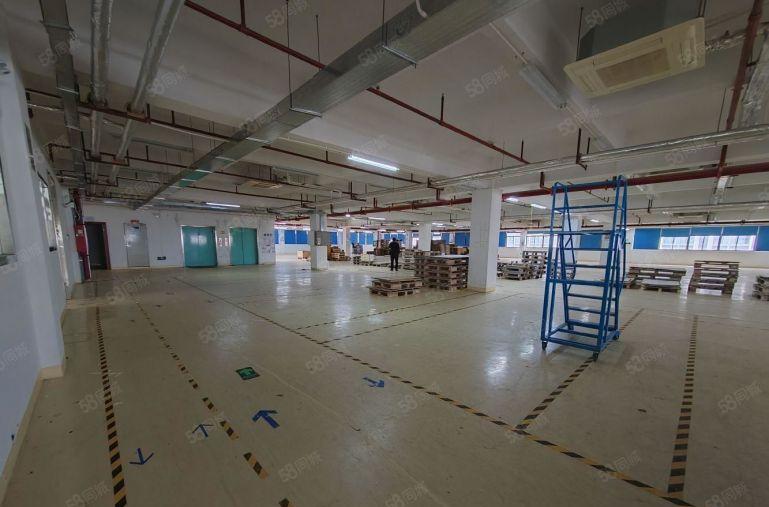 布吉李朗大型园区一楼2000平电商办公仓库出租可分租