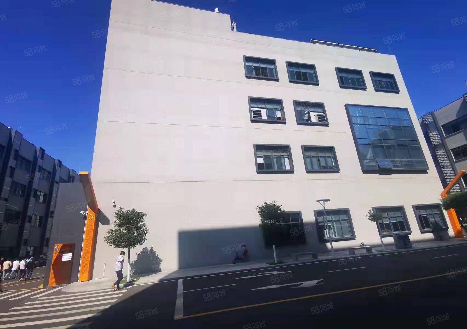 杨美地铁站旁大型电商园楼上300平精装修电商办公仓库厂房出租