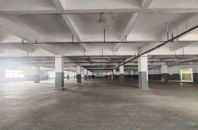 （出租）布吉李朗独栋11600平 单层2900，大小可分租。