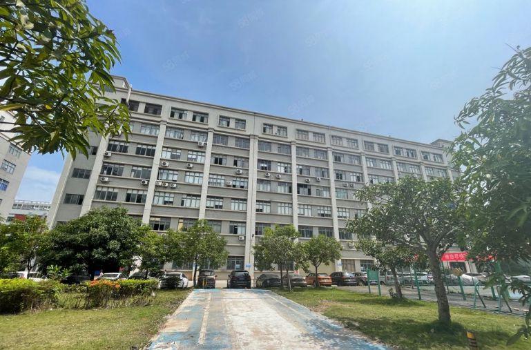 丹竹头地铁站花园式厂房1000平现成装修仓库厂房低价出租