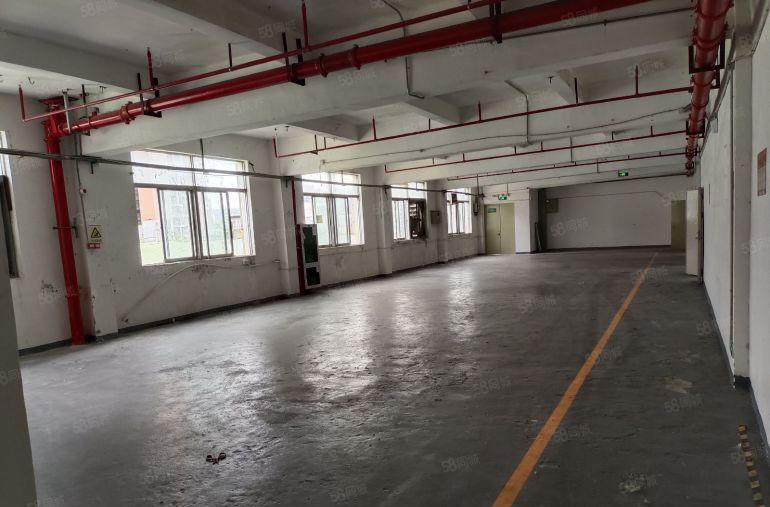 布吉罗岗联创工业区320平厂房