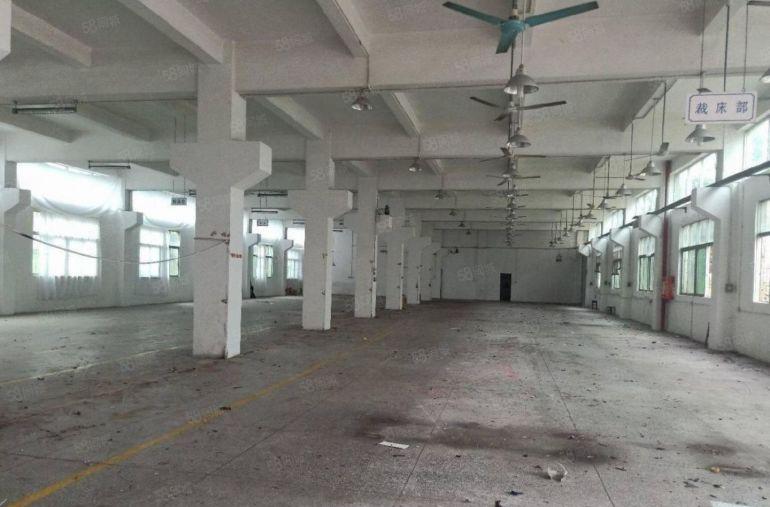 上李朗新出独院5000平方厂房仓库出租 大小可以分租 形象好