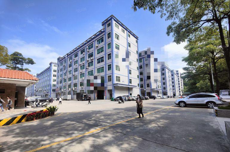 龙岗区丹竹头500至1200平厂房出租 适合新能源芯片等行业