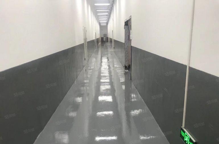 布吉丹竹头一二楼厂房仓库200平300平400平600平出租