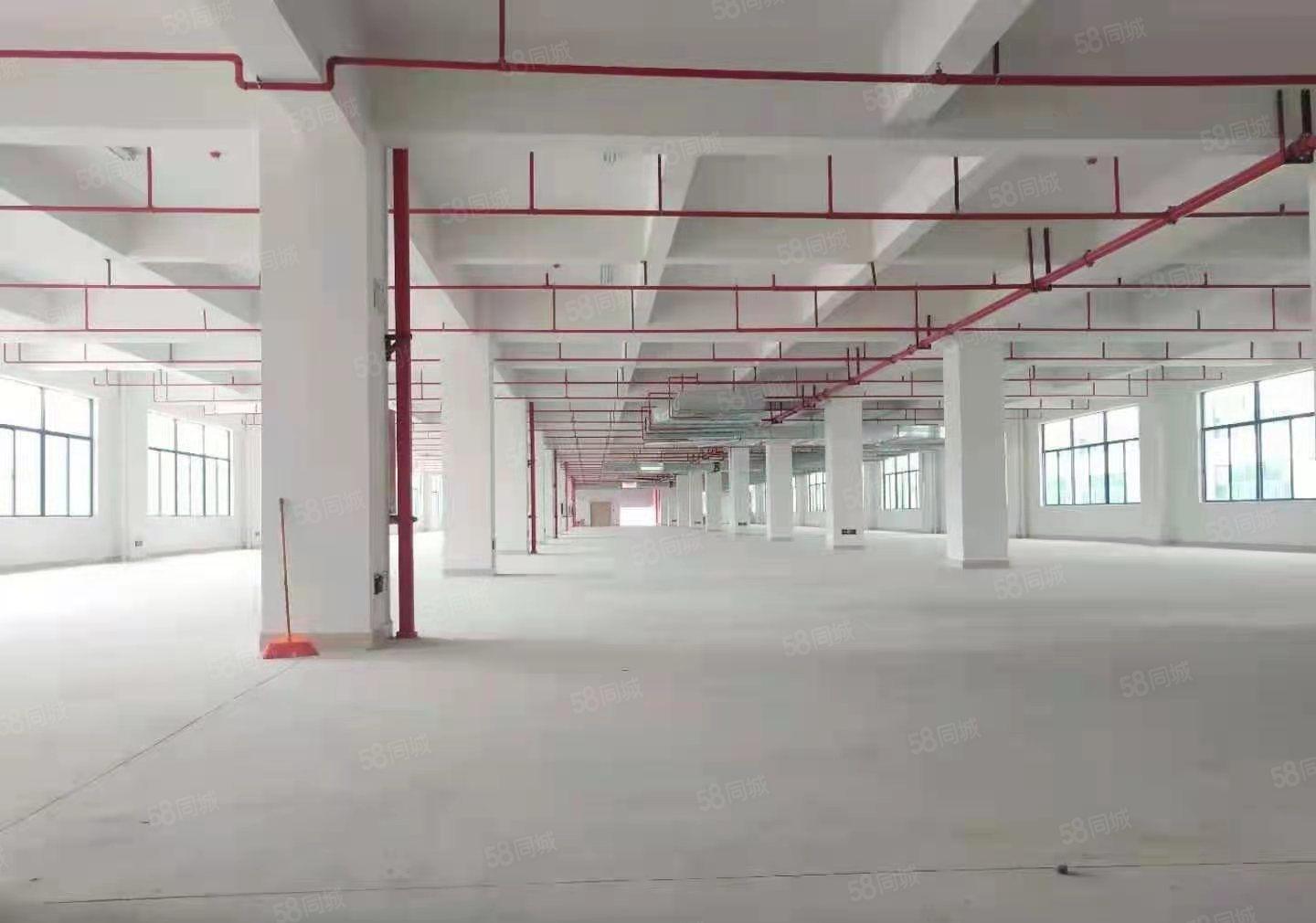 木棉湾主干道边大型工业园2100平厂房招租3吨货梯200平起