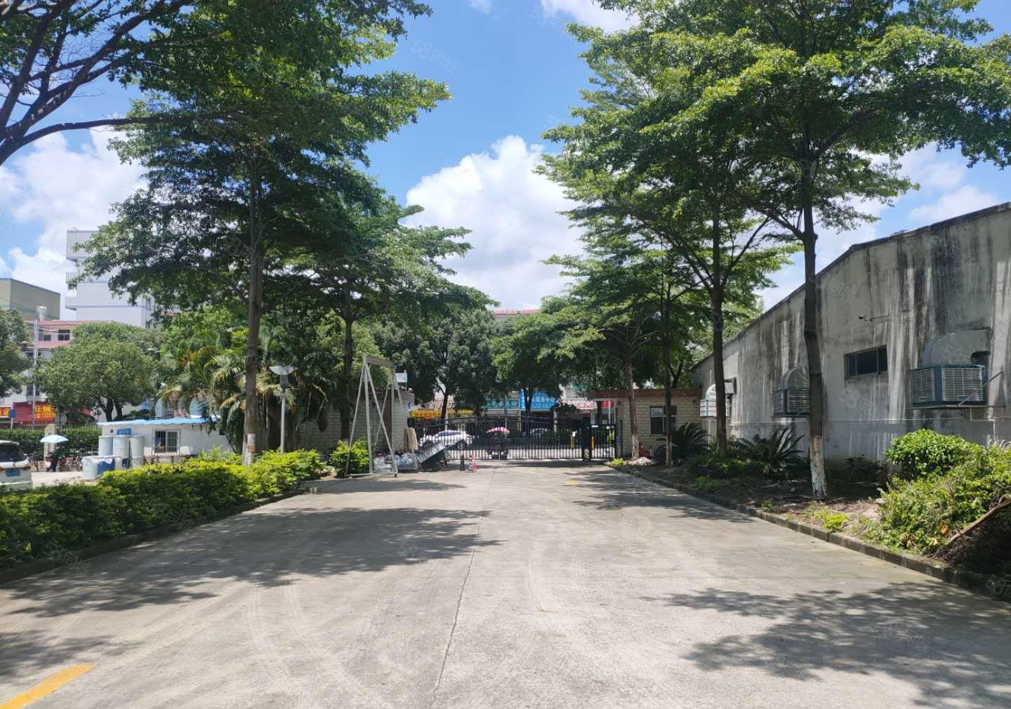 布吉李朗科技园一二楼2400平精装修厂房仓库出租500起分