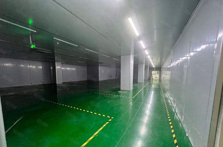 布吉李朗地铁口1000平方现成无尘车间原房东红本厂房出租。