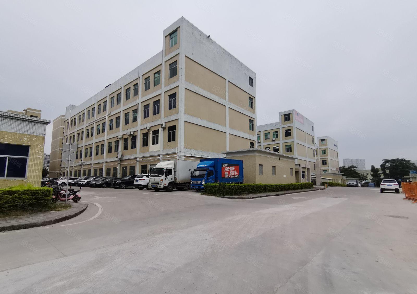 手慢无！李朗珠宝园旁边1300平标准厂房招租大小可分房东隔墙