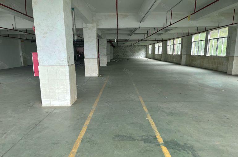 丹竹头地铁站旁带装修厂房仓库出租100平至1000平