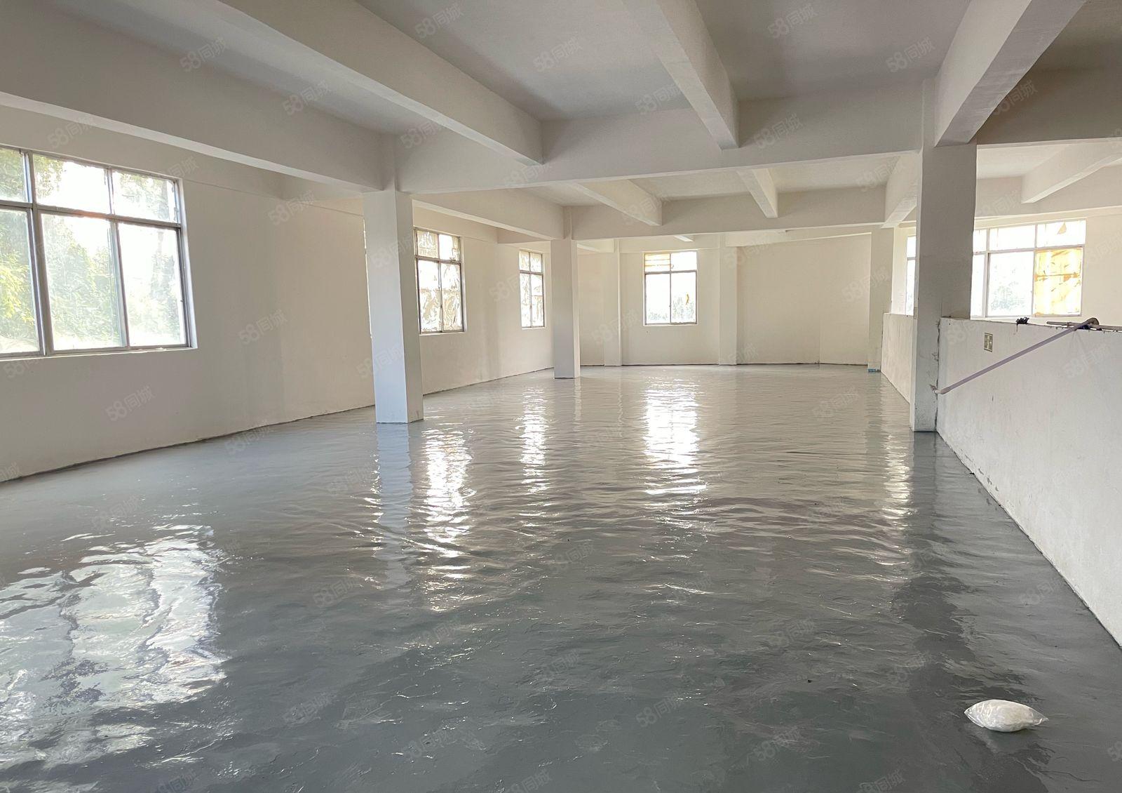 丹竹头 小面积厂房 22元280平米 起租 全新装修