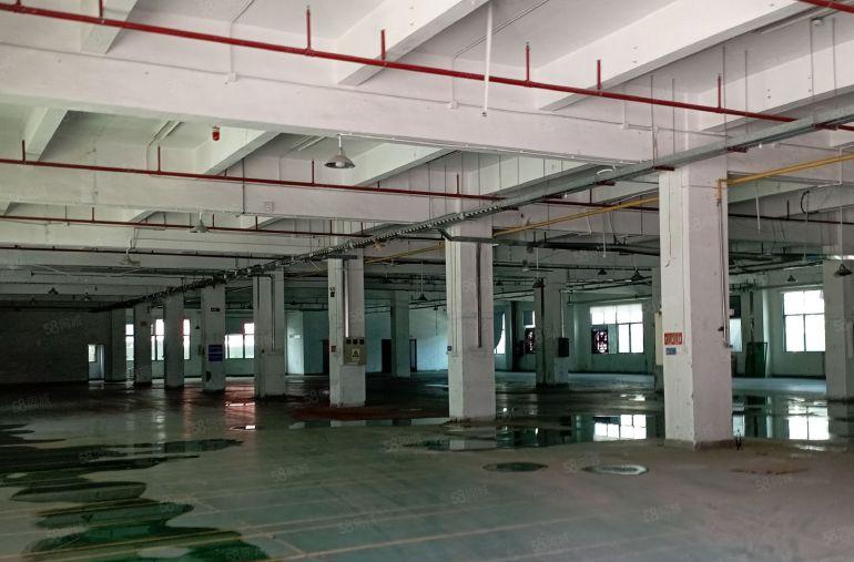 低价处理布吉南岭龙山工业园新出楼上6500平厂房仓库出租可分