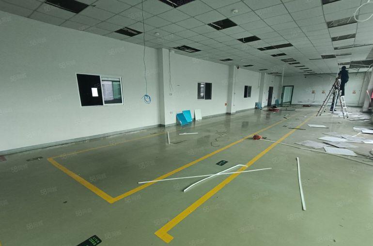 22块起租 李朗地铁口原房东一楼2000平实际面积厂房出租