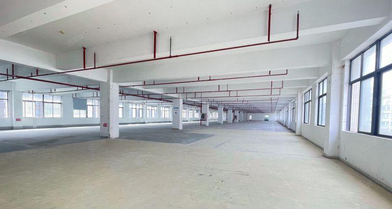 布吉老街原房东电商园区2000平可定制装修 200平起租