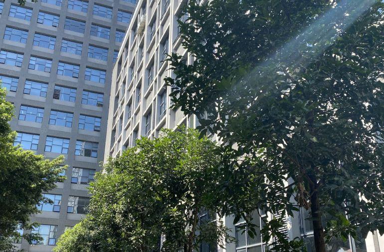 布吉李朗凉帽山地铁站精装修红本厂房出租整层1000平方。