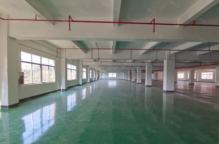 布吉李朗厂房出租200平起分工业园工业仓库一楼出租超大空地