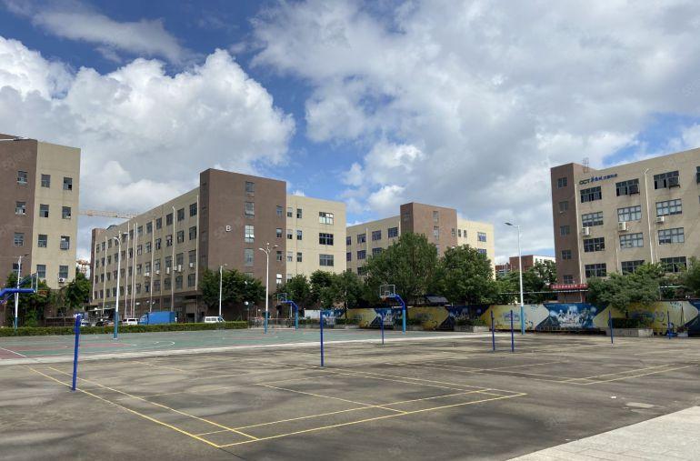 布吉百鸽笼高新产业园精装修楼上500平办公室仓库厂房出租