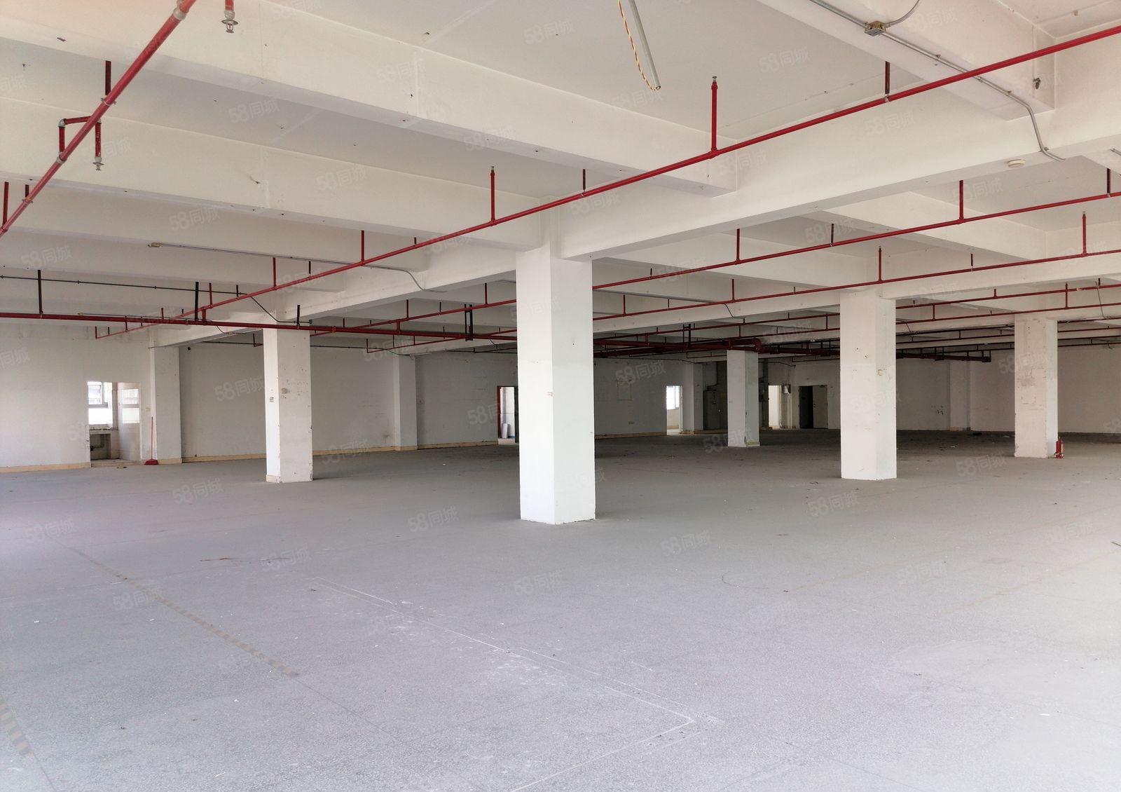 布吉主干道高实用率一手红本厂房仓储100平起租