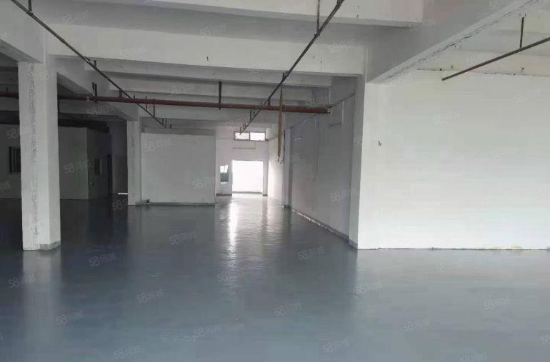 布吉南岭工业园小面积电商仓库100平200平300平出租