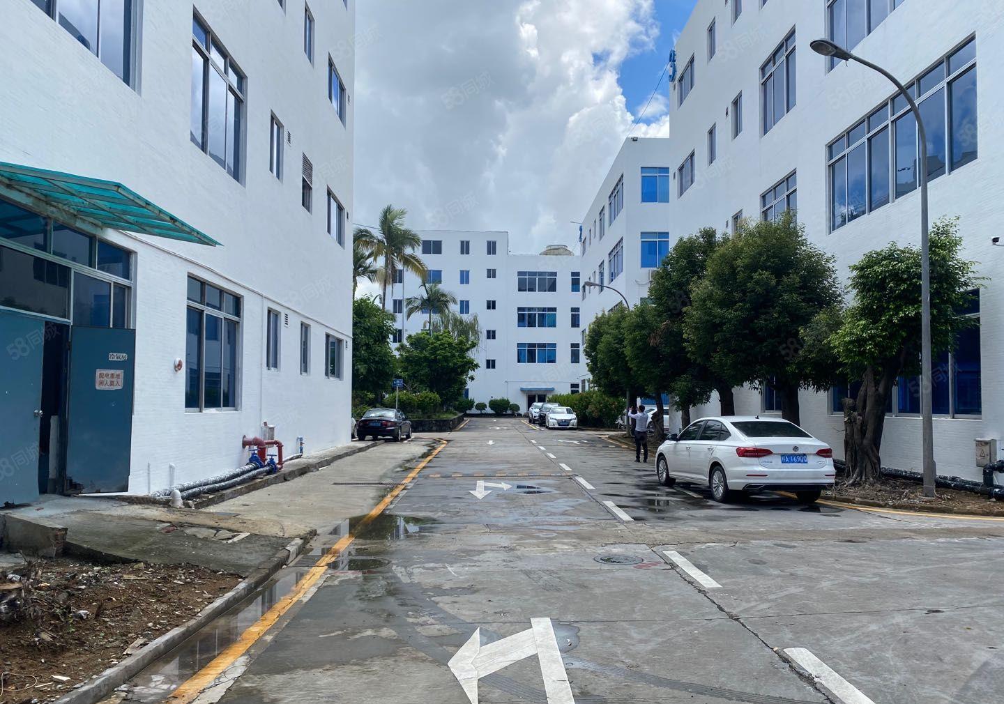 布吉百鸽笼附近仅有500平办公厂房仓库出租交通便利生活方便