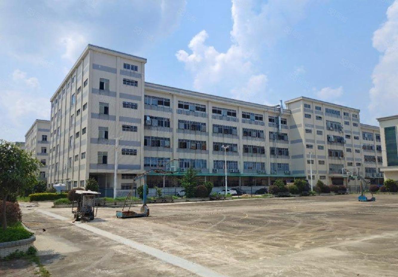 上李朗科技园红本地铁口2650平红本厂房出租精装大小可分