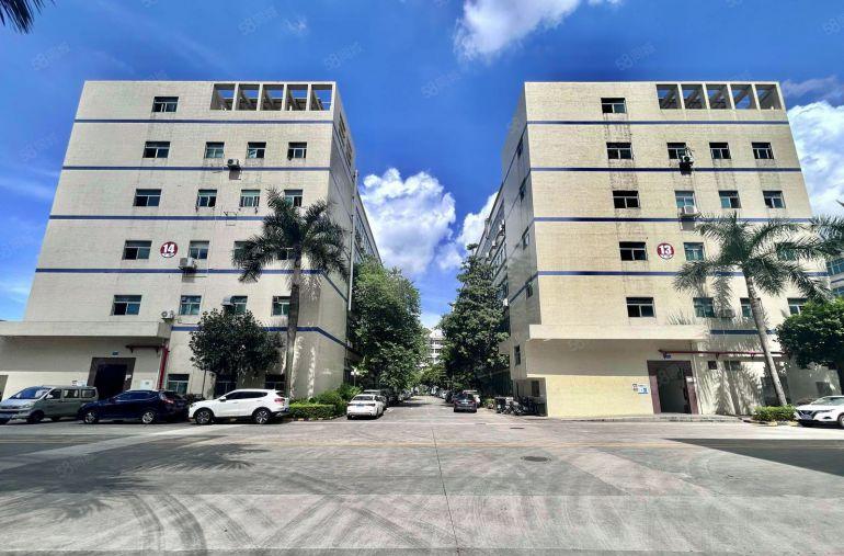 说啥拎着电脑就上班布吉大芬楼上精装厂房900平出租水电齐全