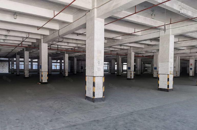 布吉高标物流仓6500平原房东厂房出租 独门独院仓库物流