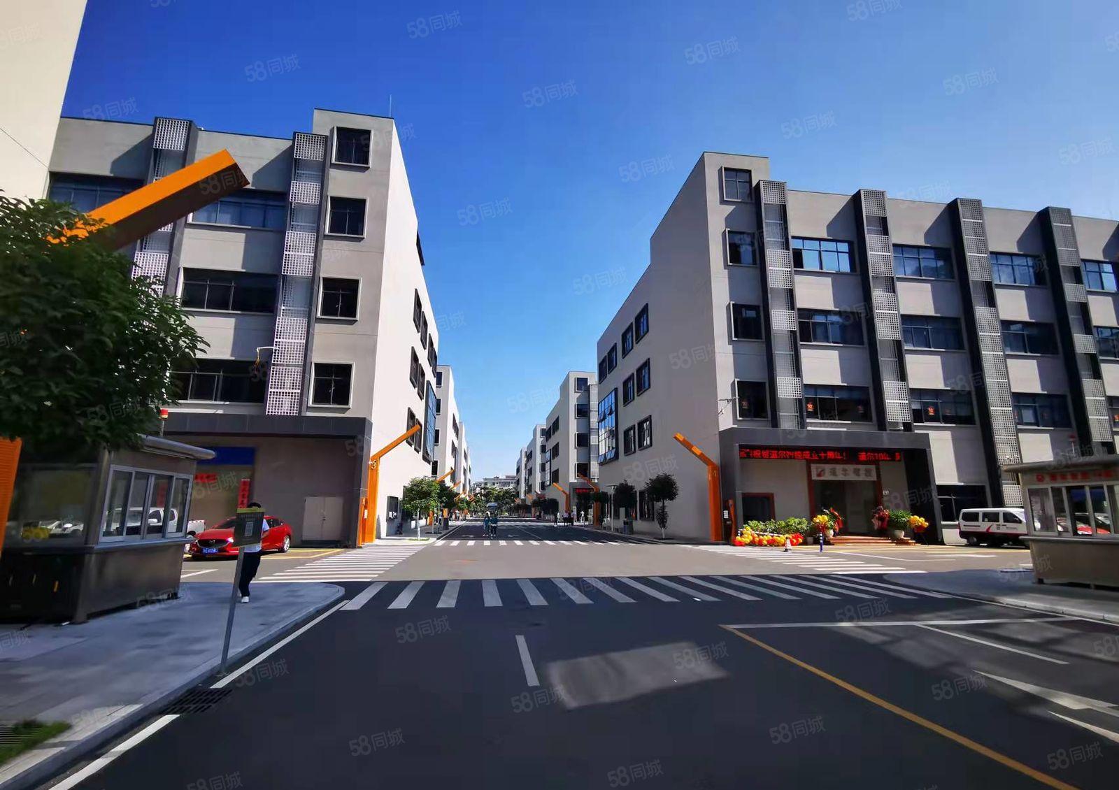 李朗大型科技园新空出2层，单层1200平方可分租，年前大处理