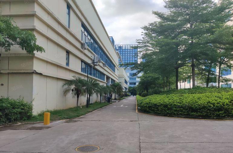 布吉丹竹头地铁口原房东2000平带精装修办公室，形象好空地大