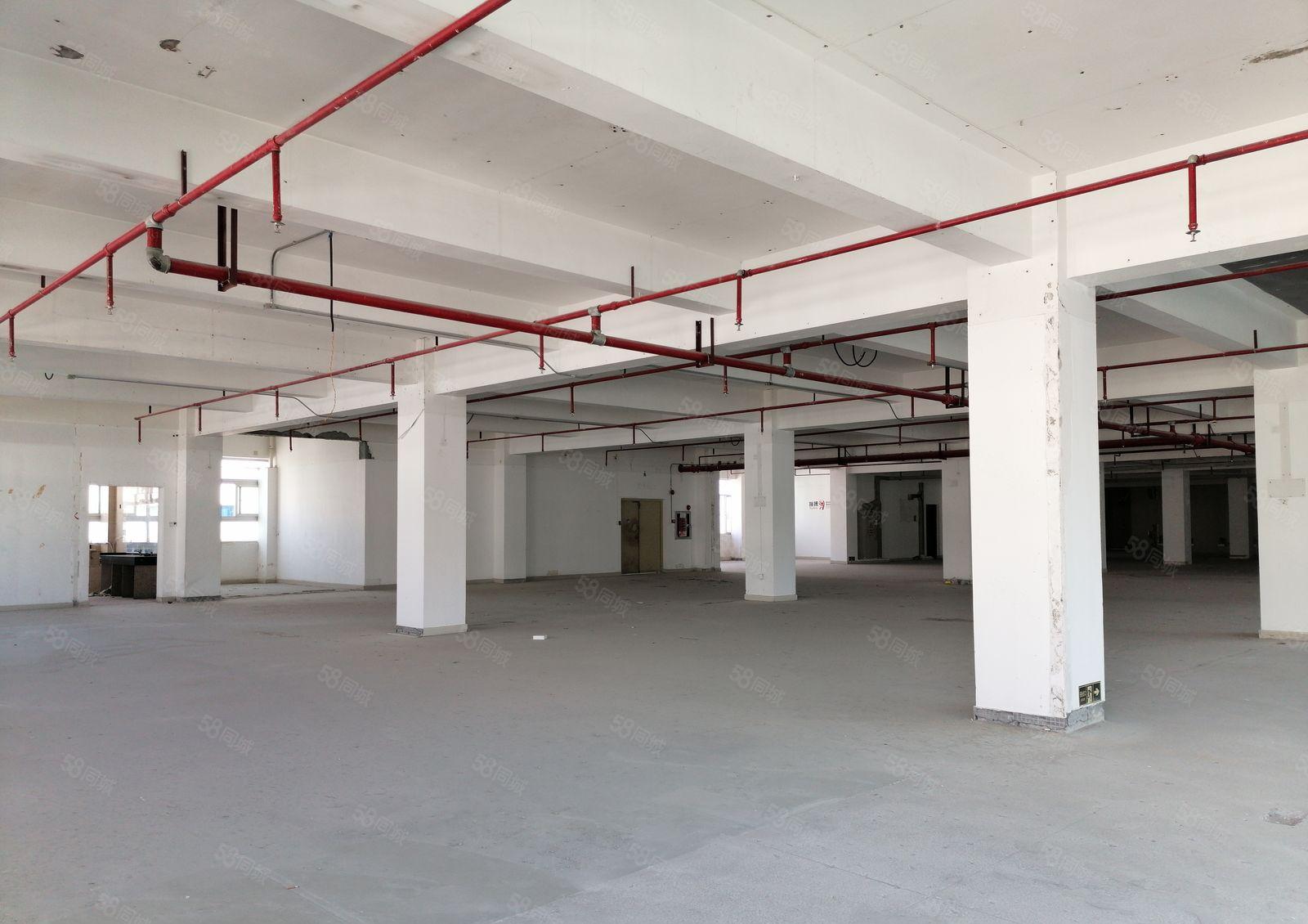 布吉 中交科技城 主干道旁 一手红本652平厂房仓储出租