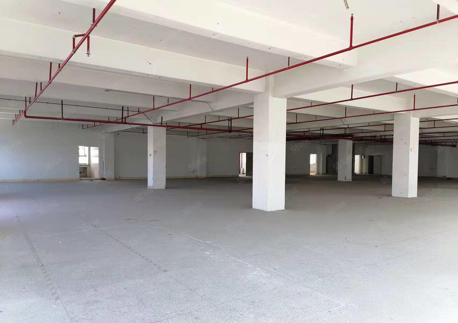 布吉主干道高实用率一手红本厂房仓库出租