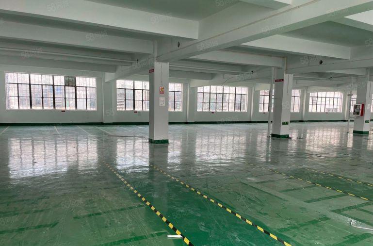 布吉甘坑地铁口原房东1500平方精装红本厂房出租。拎包进驻。