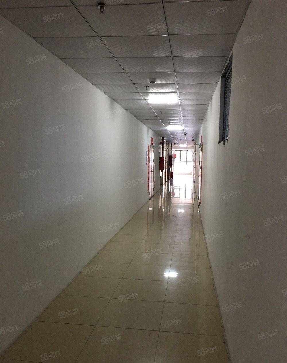 布吉丹竹头恩来工业城四楼150平米电商仓库出租