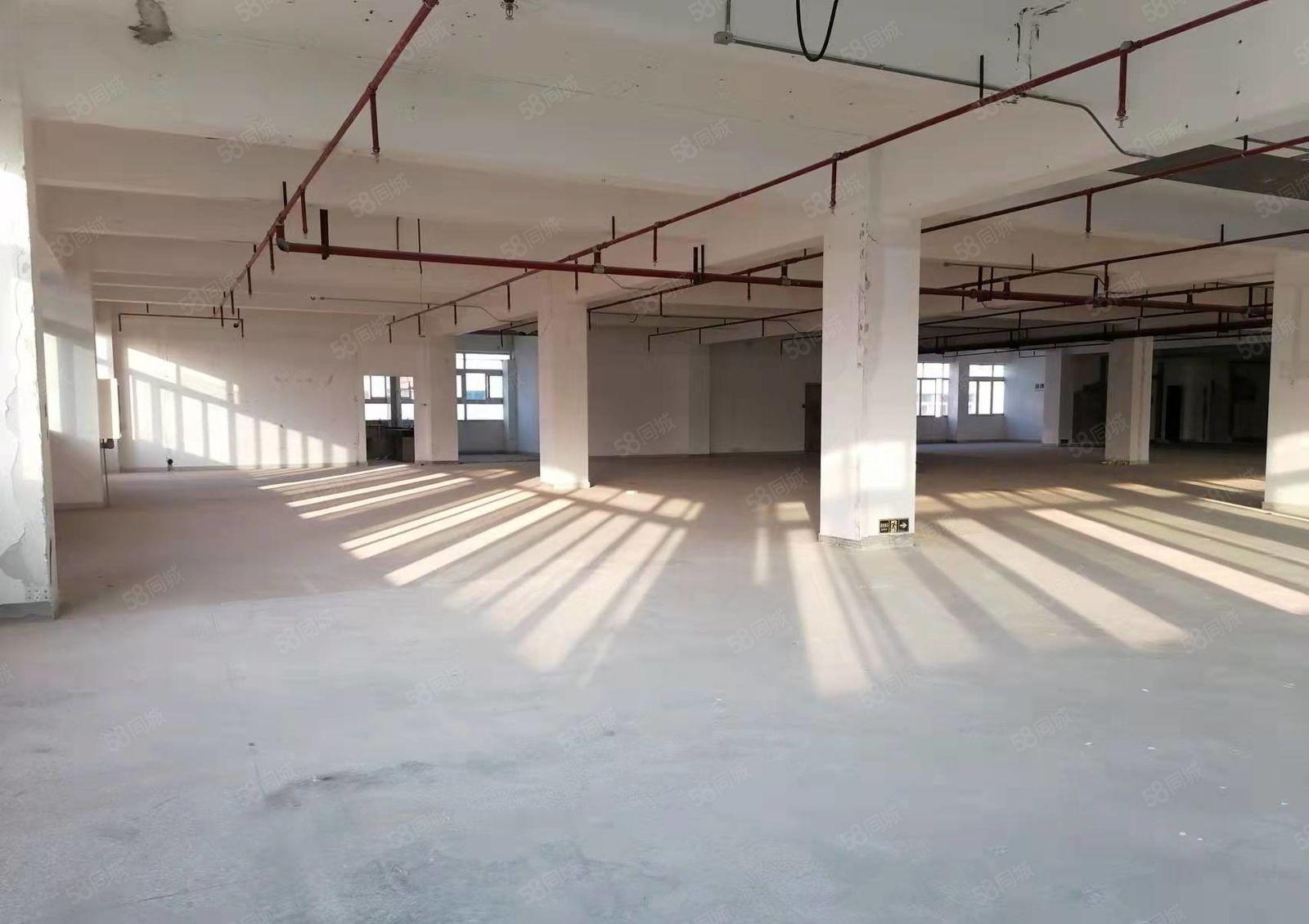 布吉主干道高实用率一手红本厂房仓库出租