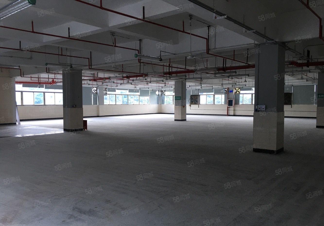 布吉秀峰工业城A5栋二楼600平米厂房仓库招租