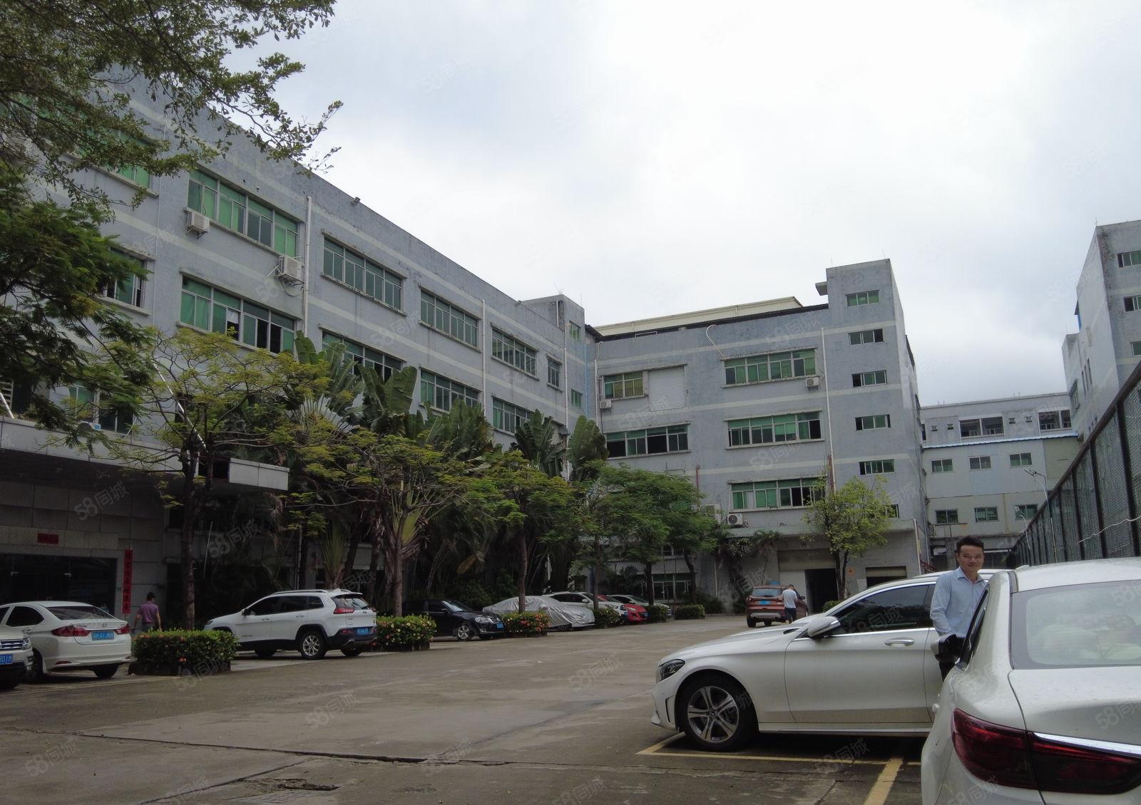 可做医药电子布吉李朗工业园500平起租厂房出租共3万平