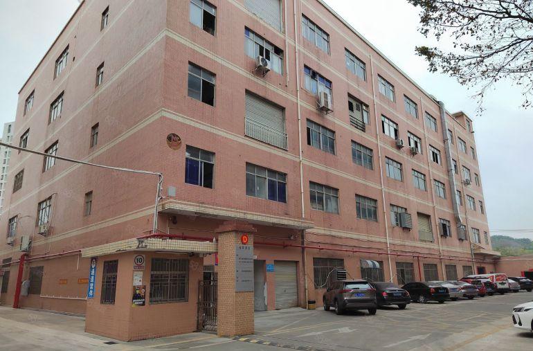 丹竹头地铁口500平精装办公室加仓库厂房出租！300平起分租